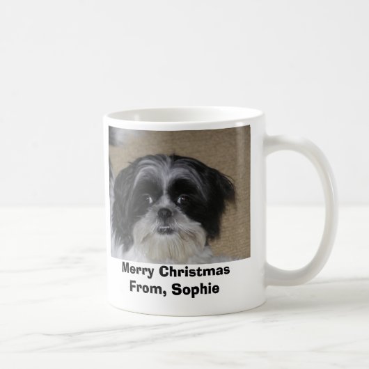Mug biscuits, obtention du diplôme, vacances de (Droite)