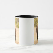 Mug Bison (Centre)