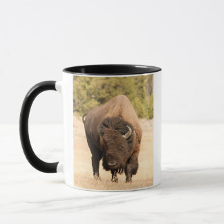 Mug Bison
