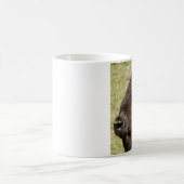 MUG BISON (Centre)