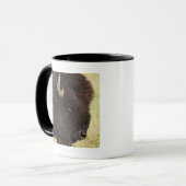 Mug Bison américain, le Dakota du Sud (Devant gauche)