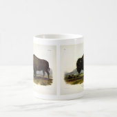 Mug Bison américain, ou bison (bison) - Audubon (Centre)