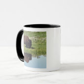 Mug Bison (bison de bison) sur le pré herbeux (Devant gauche)