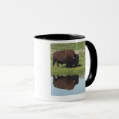 Mug Bison (bison de bison) sur le pré herbeux (Devant droit)
