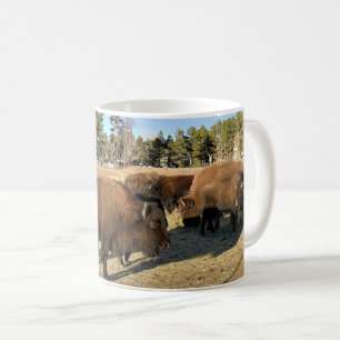 Mug Bison dans le Colorado