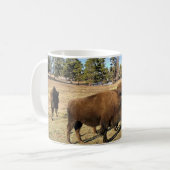 Mug Bison dans le Colorado (Devant gauche)