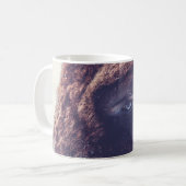 MUG BISON EN HIVER (Devant gauche)