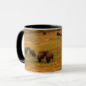 Mug Bison frôlant sur la colline à la vallée de Hayden (Devant gauche)