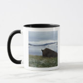 Mug Bison se reposant par la rivière Yellowstone avec (Gauche)