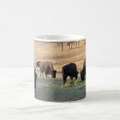 Mug Bisons dans le Colorado (Centre)