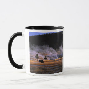 Mug Bisons paissant dans le bassin supérieur des geyse