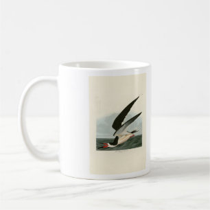 Mug Black Skimmer, Shearwater Audubon Birds of America