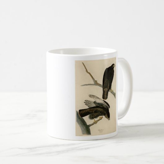 Mug Black Warrior (Buse à queue rouge) d'Audubon Birds (Devant droit)