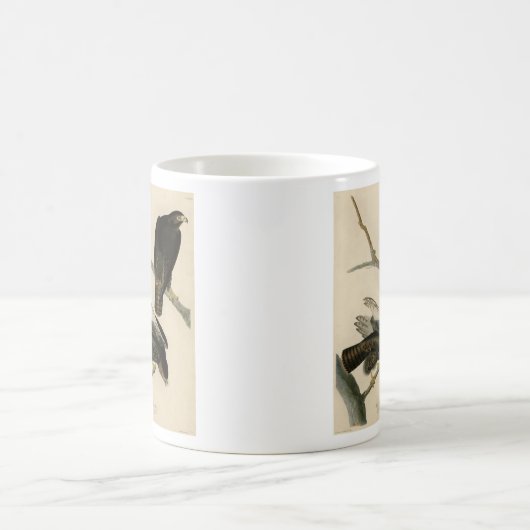 Mug Black Warrior (Buse à queue rouge) d'Audubon Birds (Centre)