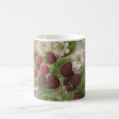 Mug Blackberries Floral Garden Flower Papillon Art (Centre)