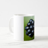 Mug Blackberry (Devant gauche)