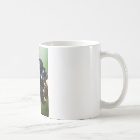 Mug Blackberry (Droite)