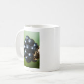 Mug Blackberry (Devant gauche)
