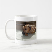 Mug blackmouth cur couché (Gauche)