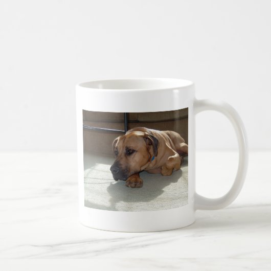 Mug blackmouth cur couché (Droite)