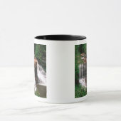 Mug Blackwater Falls, Virginie-Occidentale, pittoresqu (Centre)