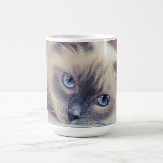 Mug Bleu Eyed Ragdoll Chat (Centre)