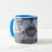 Mug Blue Jay (Devant gauche)
