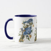 Mug Blue Jay, John James Audubon (Gauche)