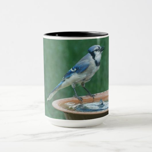 Mug Blue Jay sur Bird Bath Bird Photographie d'oiseau (Centre)