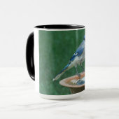 Mug Blue Jay sur Bird Bath Bird Photographie d'oiseau (Devant gauche)