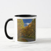 Mug Blue Ridge Parkway courbant dans les couleurs de l (Gauche)