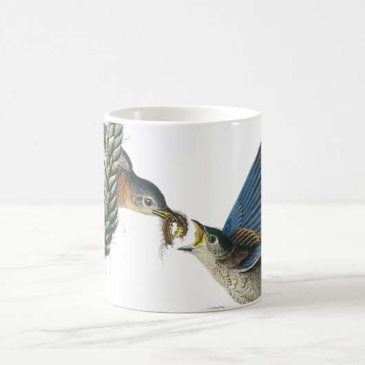Mug Bluebird de l'Est par Audubon (Centre)