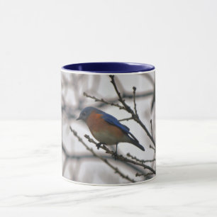 Mug Bluebird Nature Amoureux des oiseaux d'hiver Musiq