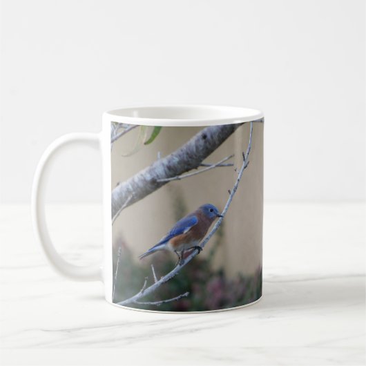 Mug Bluebird sur Branche Amateurs de Bluebird Est (Gauche)