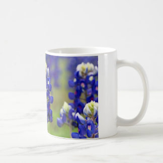 MUG BLUEBONNETS DE TEXAS