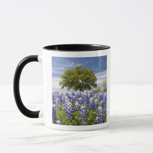 Mug Bluebonnets du Texas (lupinus texensis) et chêne (Gauche)