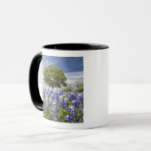 Mug Bluebonnets du Texas (lupinus texensis) et chêne (Devant gauche)