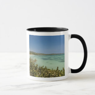 Mug Bluefields, côte sud-ouest de la Jamaïque