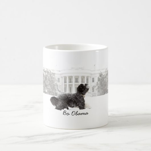 Mug Bo Obama (Centre)