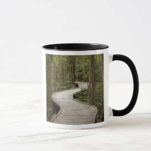 Mug Boardwalk to Nelson Falls, Franklin - Gordon