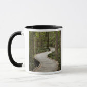 Mug Boardwalk to Nelson Falls, Franklin - Gordon (Gauche)