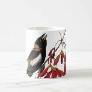 Mug Bobolink par Audubon
