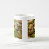 Mug Boeuf, brocoli et champignons remuer la frite (Centre)
