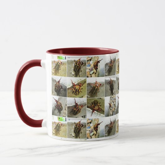Mug Bogue off : juin Brouillard insecte photo Collage (Gauche)