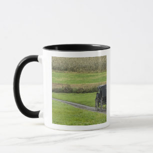 Mug Boguet amish sur la ruelle de ferme, Ohio du