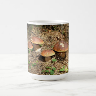 Mug boletus