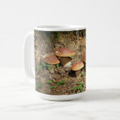 Mug boletus (Devant gauche)