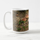 Mug boletus (Gauche)