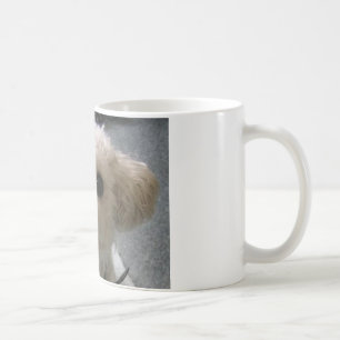 Mug bolonais