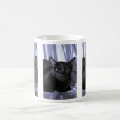 Mug Bombay (Centre)